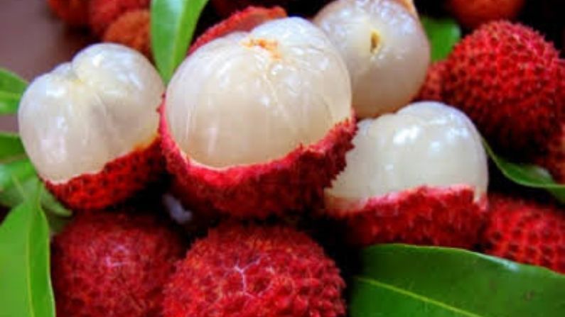 Health Tips : Health Tips : Know the benefits of Lychee fruit 