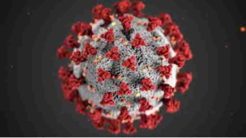 Coronavirus Update : સિડનીમાં એક વ્યક્તિના સંક્રમણનો સ્ત્રોત ન મળ્યો, એક અઠવાડિયા સુધી વધારાયા પ્રતિબંધ