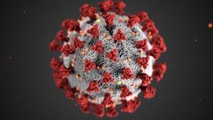 Coronavirus : લાંબા સમય સુધી રહેશે કોવિડ-19, મેળાવડાઓ પર 2022 સુધી પ્રતિબંધ રાખવા જરુરી : IIPH ડાયરેક્ટર