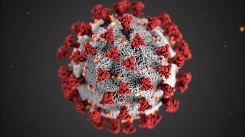 Coronavirus: કોરોનાની પરિસ્થિતિને લઈ અલગ અલગ રાજ્યોની હાઈકોર્ટે સરકારને શું કહ્યું?