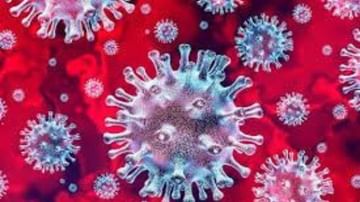 Coronavirus : આવનારા દિવસોમાં બે ગણા થઇ શકે છે કોરોનાના આંકડા IISના વૈજ્ઞાનિકોની ચેતવણી