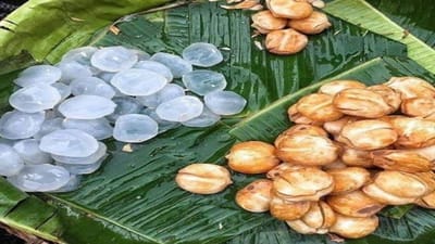 શહેર બાદ હવે અંતરિયાળ ગામડાઓમાં કોરોનાએ પગપેસારો શરૂ કર્યો છે. દક્ષિણ ગુજરાતના પણ ઘણા જિલ્લાઓ અને ગામડાઓમાં મોટી સંખ્યામાં કોરોનાના દર્દીઓ નોંધાઈ રહ્યા છે. તેવામાં દક્ષિણ ગુજરાતમાં જોવા મળતું ગલેલીનું ફ્રુટ કોરોના સામે લડવા ઈમ્યુનિટી બુસ્ટર સાબિત થઈ રહ્યું છે.