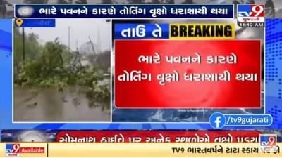 Cyclone Tauktae : અમરેલીમાં વાવાઝોડાએ મચાવી તબાહી, અનેક રસ્તા થયા બ્લોક
