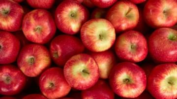 Health Benefits : Apple અનેક બીમારીનો છે રામબાણ ઈલાજ
