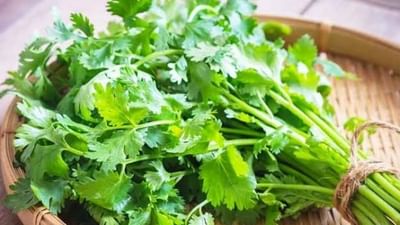 Health: શું તમે કોથમીર ખાવાના આ ફાયદા વિશે જાણો છો?