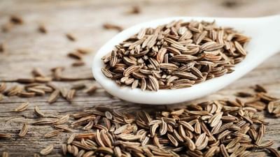 Benefits of Cumin Seeds : જાણો જીરાથી થતાં 7 ફાયદાઓ, શરદીથી લઈ રેસ્પિરેટરી સુધીની તકલીફમાં છે અતિ ગુણકારી