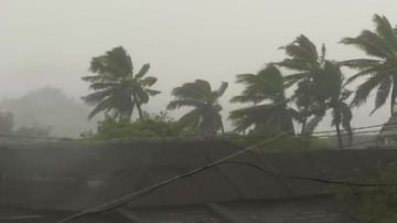 Cyclone Alert: દેશના આ ભાગોમાં ચક્રવાતી તોફાન તૌક્ટે મચાવશે તબાહી, હવામાન વિભાગે ચેતવણી જાહેર કરી