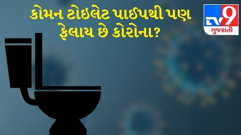 જો નીચેના ફ્લેટમાં કોરોનાનો દર્દી છે તો શૌચાલયની પાઈપથી ઉપરના ફ્લેટમાં જઈ શકે છે વાયરસ? કેવી રીતે બચવું?