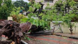 Cyclone Tauktae : અમદાવાદ બાદ ઉ. ગુજરાતનો આવશે વારો, ગાંધીનગર, પાટણ, બનાસકાંઠા અને મહેસાણામાં અસર પડશે