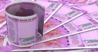 ડેરી વ્યવસાય શરૂ કરી ખેડૂતો લાખોની કમાણી કરી શકે છે, કુલ ખર્ચના 70% રકમ સરકાર આપશે