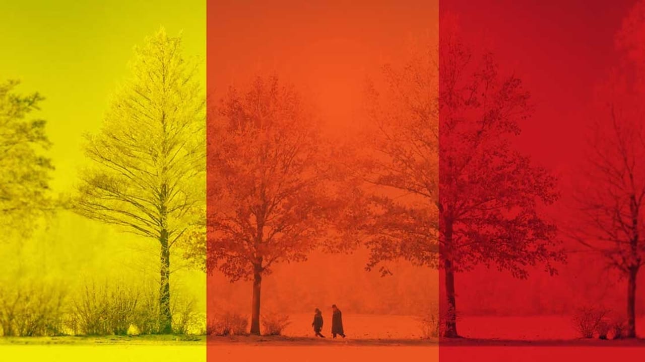 ભારે વરસાદને લઈ હવામાન વિભાગ દ્વારા Red, Yellow કે Orange Alert આપવામાં આવે છે, તેનો અર્થ શું છે?