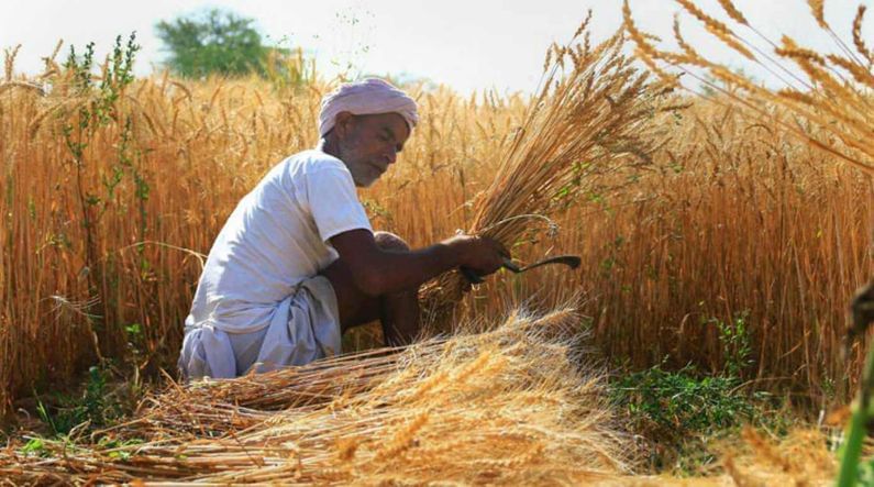 Rajkot: ધોરાજીના ખેડૂતોને હાલાકી, મંથર ગતિએ ચાલી રહી છે ઘઉં અને ચણાની ટેકાના ભાવે ખરીદી