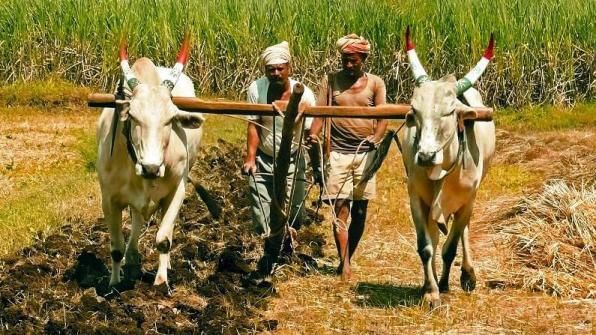 Agriculture: ગ્રામીણ ભારતમાં ડિજિટલ કૃષિને પ્રોત્સાહન આપવા કૃષિ મંત્રાલયે એગ્રી બજાર સાથે કરાર કર્યા, ખેડૂતોને મળશે તેનો લાભ