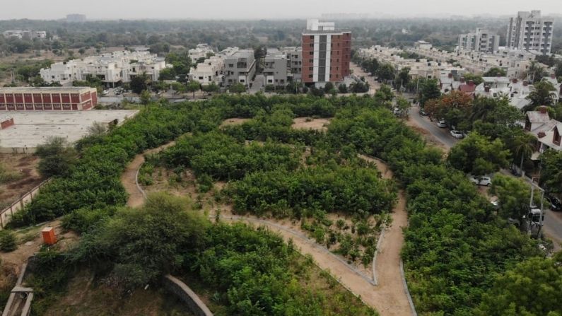 Ahmedabad માં આકાર પામ્યું અનોખું વન, શહેર કરતાં 15 ડિગ્રી ઓછી ગરમીનો અહેસાસ કરાવે છે