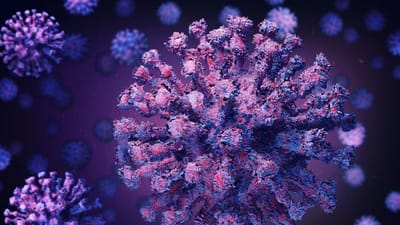 સાવધાન : ગટરમાં મળ્યા કોરોના વાયરસના 108 મ્યુટન્ટ, ચાર મ્યુટન્ટ ભારતમાં પ્રથમ વાર જોવા મળ્યાં