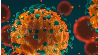 Corona :  શરીરમાં પોતાને અદ્રશ્ય રાખે છે આલ્ફા વેરીયન્ટ , 23 મ્યુટન્ટ નોંધાયા