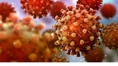 Corona Study : કોરોના વાયરસ અત્યંત ઘાતક, આટલા ડિગ્રી તાપમાન પર પણ સંપૂર્ણ નષ્ટ નથી થતો વાયરસ