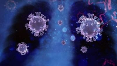 નવુ જોખમ : અમેરિકા બાદ ભારતમાં પણ જોવા મળ્યો કોરોનાનો નવો વેરિઅન્ટ AY-2