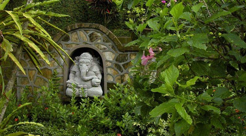 લંબોદરને પસંદ છે પાંદડાની લીલાશ ! જે પૂર્ણ કરશે તમારી સઘળી આશ !