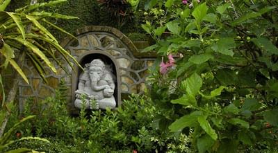 લંબોદરને પસંદ છે પાંદડાની લીલાશ ! જે પૂર્ણ કરશે તમારી સઘળી આશ !