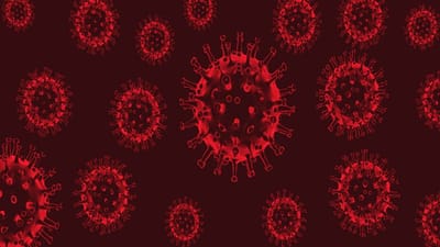 Gujarat Corona Update : રાજ્યમાં કોવીડ-19ના નવા 490 કેસ, 6 મૃત્યુ, રાજ્યમાં 2 કરોડ લોકોનું રસીકરણ પૂર્ણ થયું