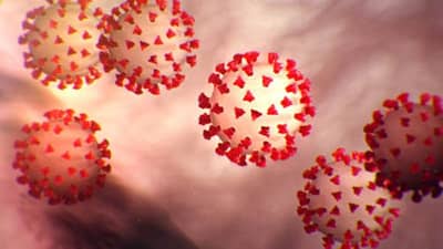 Gujarat Corona Update : ગુજરાતમાં 8 લાખ લોકોએ કોરોનાને હરાવ્યો, રીકવરી રેટ વધીને 97.53 ટકા થયો