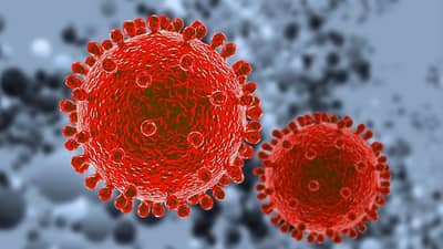 Gujarat Corona Update : ગુજરાતમાં કોરોનાના કારણે કુલ 10 હજાર લોકોના મૃત્યુ થયા, મૃત્યુઆંક 10,003 થયો