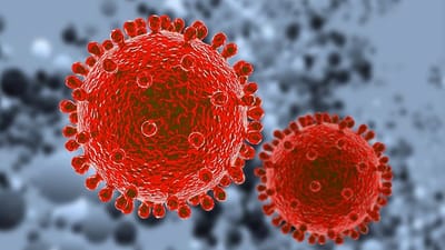 Gujarat Corona Update :  ગુજરાતમાં કોરોનાના કારણે કુલ 10 હજાર લોકોના મૃત્યુ થયા, મૃત્યુઆંક 10,003 થયો