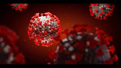 Gujarat Covid19 Update : રાજ્યમાં કોવીડ-19ના નવા 262 કેસ, 5 દર્દીઓના મૃત્યુ, એક્ટીવ કેસ ઘટીને 7230 થયા