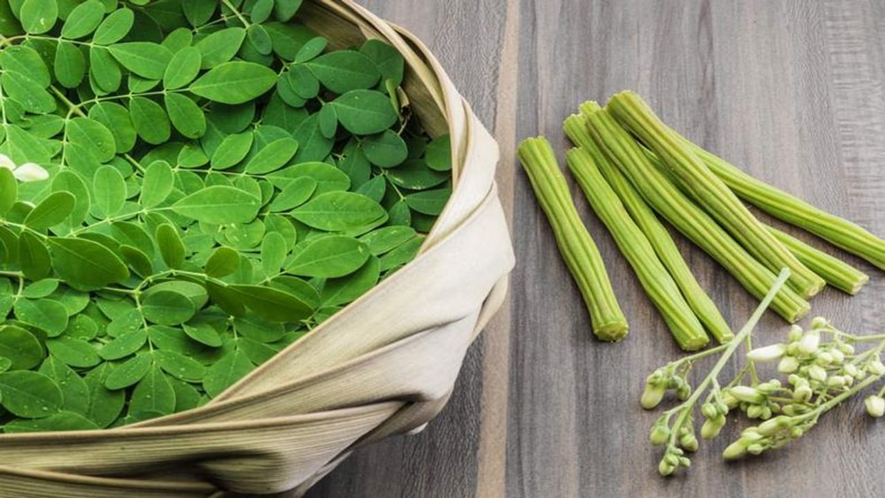 Health Benifits Drumsticks : સરગવો સ્વાસ્થય માટે ફાયદાકારક, જાણો સરગવો ખાવાના ફાયદાઓ
