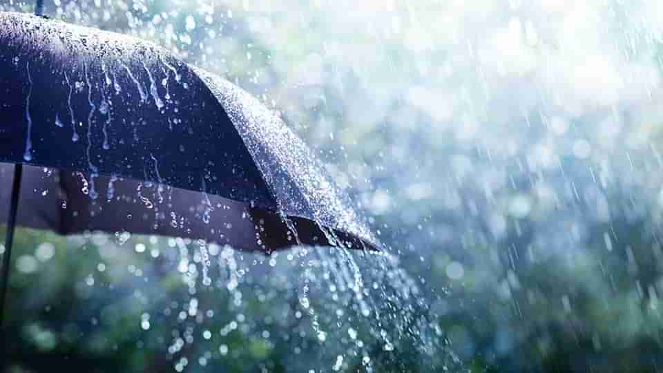 ખાસ વાંચો: વરસાદની સીઝનમાં કોવિડ અને અન્ય બીમારીઓથી કેવી રીતે બચશો?