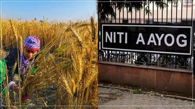 નુકસાન કે ફાયદાઓ? કોરોનાની બીજી લહેરની કૃષિક્ષેત્રે શું પડશે અસર? જાણો નીતિ આયોગે શું કહ્યું