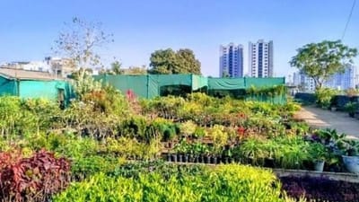 કોરોનાએ સમજાવ્યું ઓક્સિજનનું મહત્વ : ભારે ડિમાન્ડમાં છે 24 કલાક ઓક્સિજન આપતા આ પ્લાન્ટસ