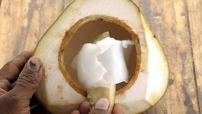 Health Tips: નારિયેળ પાણીની સાથે નારિયેળની મલાઈ ખાવાના પણ છે અનેક લાભ, જાણો