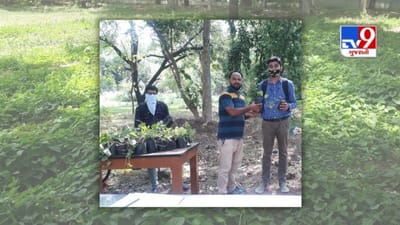 Vadodara : M S યુનિવર્સિટીના બોટની વિભાગને અમૃતા ફોર લાઈફના રાષ્ટ્રીય અભિયાન અંતર્ગત ગિલોયના રોપા ઉછેરવાનો પ્રોજેક્ટ