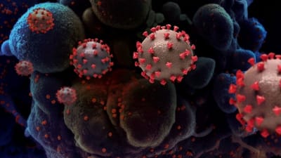 સફળતા : ભારતીય વૈજ્ઞાનિકોએ માત્ર એક જ કલાકમાં કાગળની મદદથી કોરોના મ્યુટન્ટ શોધ્યો