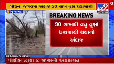 Junagadh : તાઉતે વાવાઝોડાથી ગીરના જંગલમાં 30 લાખથી વધુ વૃક્ષ ધરાશાયી