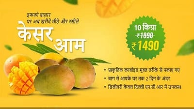 Kesar Mangoes:  કેસર કેરીના રસિયાઓ થઈ જાવ તૈયાર, જાણો બગીચામાંથી કઈ રીતે તમારી ઘરે પહોંચશે કેસર કેરી