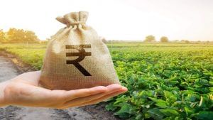 IPO Allotment Status : આજે થશે India Pesticides IPOના શેરની ફાળવણી, કઈ રીતે જાણશો તમને શેર મળ્યા કે નહીં ?
