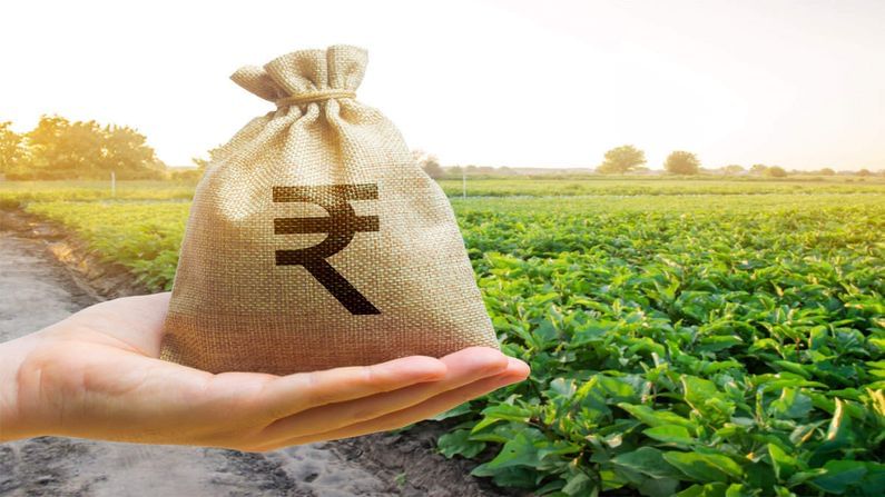 India Pesticides નો 23 જૂને આવી રહ્યો છે IPO, જાણો કંપની અને તેની યોજના વિશે વિગતવાર