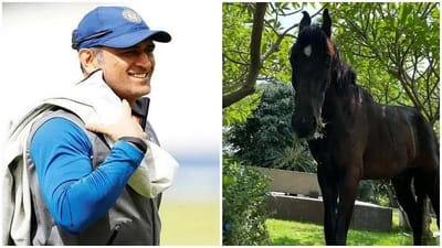 MS Dhoni: ઘોડા સાથે ફાર્મ હાઉસમાં દોડ લગાવતો નજર આવ્યો ધોની, પત્નિ સાક્ષીએ શેર કર્યો વિડીયો