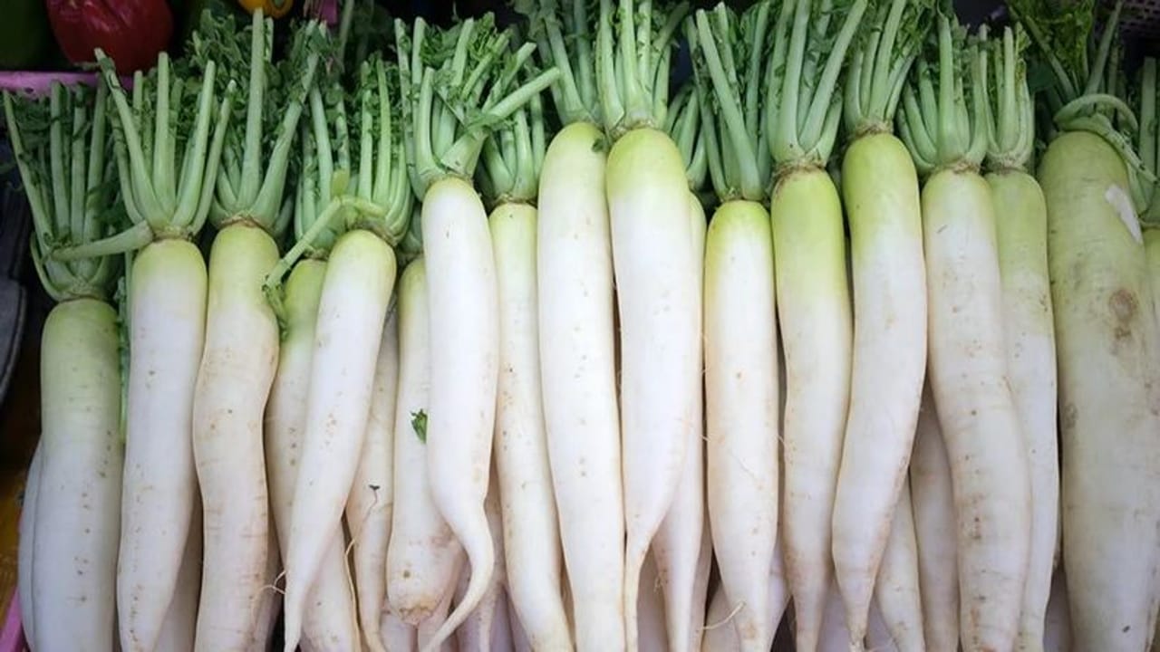 Health benefits : મૂળો ખાવાથી થશે અઢળક ફાયદા, અનેક બિમારીનો છે રામબાણ ઈલાજ