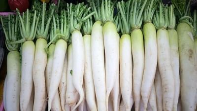 Health benefits : મૂળો ખાવાથી થશે અઢળક ફાયદા, અનેક બિમારીનો છે રામબાણ ઈલાજ