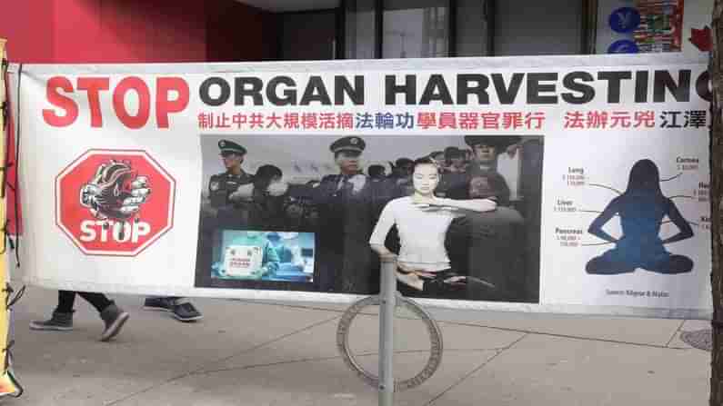 China Forcibly Organ Harvesting : : ઉઈગર મુસ્લિમ અને તિબેટીયન કેદીઓના હૃદય, કીડની અને લીવર કાઢી રહ્યું છે ચીન