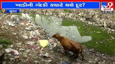 Surat: શહેર વચ્ચે પસાર થતી ખાડીમાં મચ્છરોનો ત્રાસ, સફાઈના નામે આશ્વાસન આપતા નેતાઓથી સ્થાનિકો અકળાયા