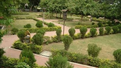 Suratનું ગ્રીન કવર વધારવા હવે પાલિકા રોપા વહેંચવા ઓનલાઈન રજિસ્ટ્રેશન સ્વીકારશે