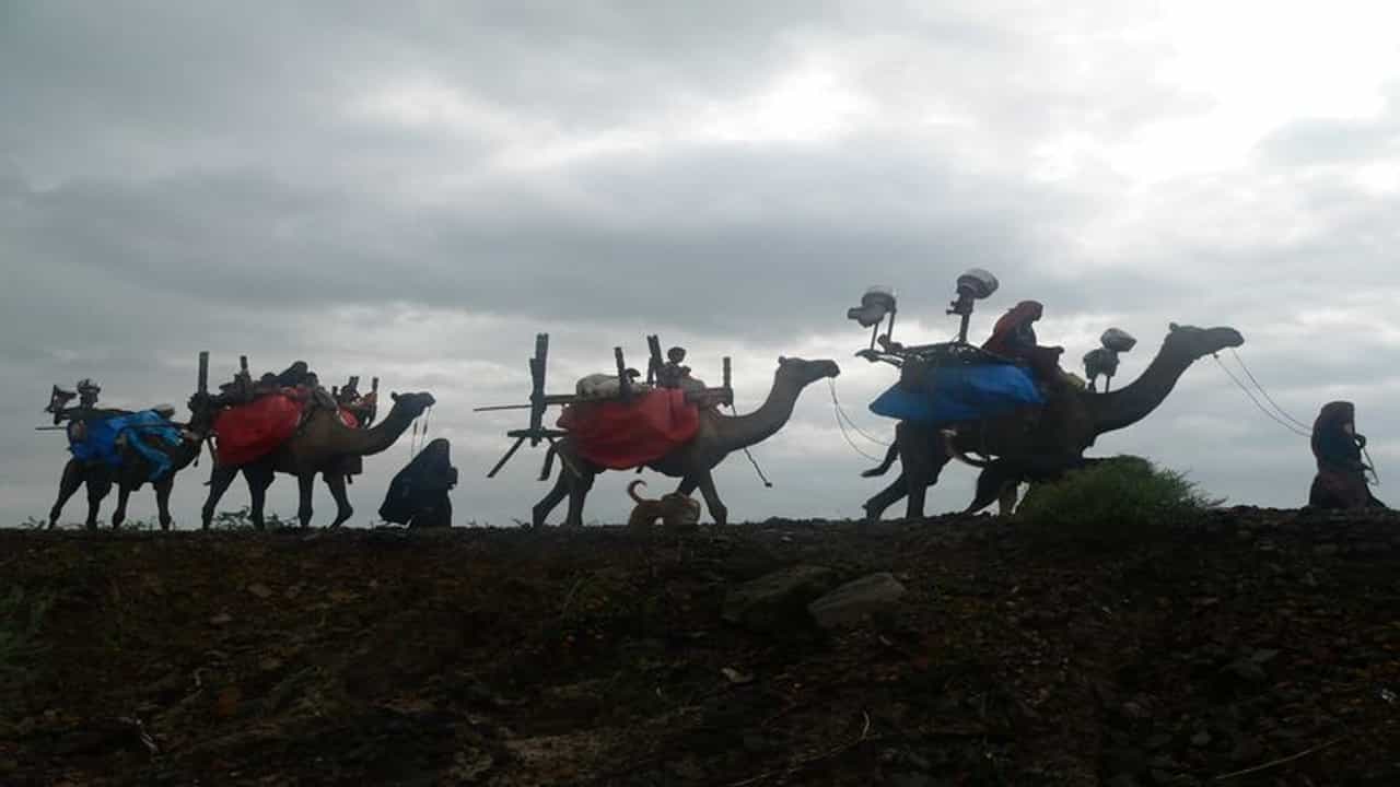 ASHADHI BIJ કચ્છીઓ ઉજવે છે નવું વર્ષ, જાણો શું છે ઉજવણીનો ઇતિહાસ