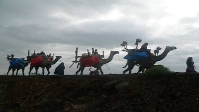 ASHADHI BIJ કચ્છીઓ ઉજવે છે નવું વર્ષ, જાણો શું છે ઉજવણીનો ઇતિહાસ