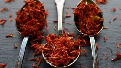 કેસર શા માટે મોંઘુ હોય છે? તેની ખેતી પદ્ધતિ જાણશો તો સમજાશે કે લાખો રૂપિયે કિલો કેમ વેચાય છે !