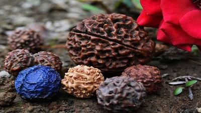 Bhakti : અનેક પ્રયાસ છતાં મનોકામના પૂર્ણ થતી નથી ? ધારણ કરો શિવના ચમત્કારિક રુદ્રાક્ષની માળા